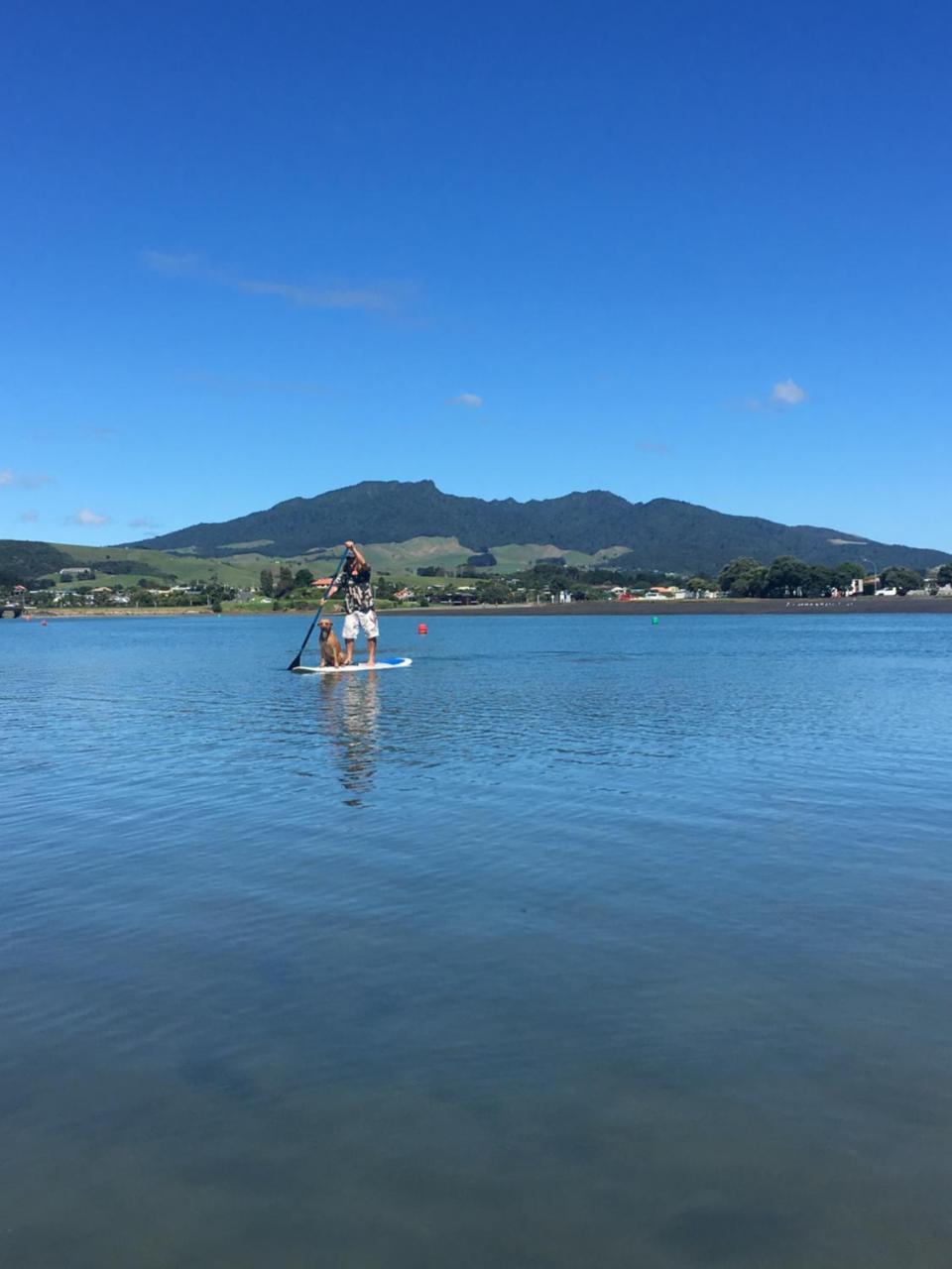 Raglan Backpackers 호스텔 외부 사진